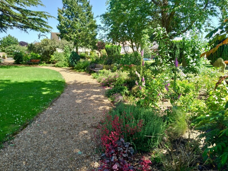 Garden with gravel path 